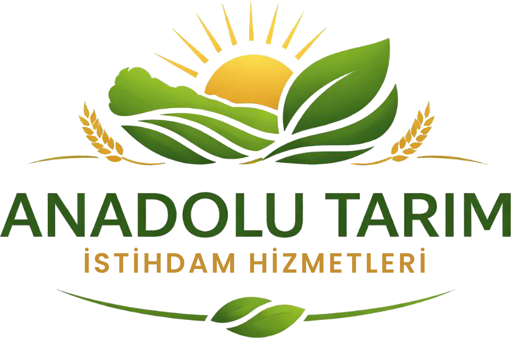 Türkiye’nin Her Noktasında Profesyonel Tarım İşçi Tedariği